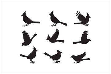 Bird Silhouette Bundle | Flying Birds Vector Clipart | SVG, PNG, EPS for Cricut & Laser Cutting

Birds Vector Silhouettes | Wildlife Animal SVG Files | Digital Bird Clipart for Crafts & Decor

Flying 