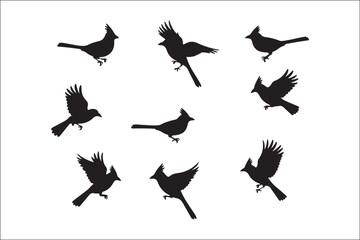 Bird Silhouette Bundle | Flying Birds Vector Clipart | SVG, PNG, EPS for Cricut & Laser Cutting

Birds Vector Silhouettes | Wildlife Animal SVG Files | Digital Bird Clipart for Crafts & Decor

Flying 