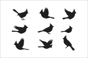 Bird Silhouette Bundle | Flying Birds Vector Clipart | SVG, PNG, EPS for Cricut & Laser Cutting

Birds Vector Silhouettes | Wildlife Animal SVG Files | Digital Bird Clipart for Crafts & Decor

Flying 
