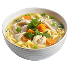 Delicious Chicken Noodle Soup in a Bowl Restaurant Food Photography