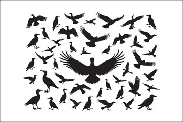 Obraz premium Bird Silhouette Bundle | Flying Birds Vector Clipart | SVG, PNG, EPS for Cricut & Laser CuttingBirds Vector Silhouettes | Wildlife Animal SVG Files | Digital Bird Clipart for Crafts & DecorFlying 