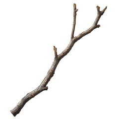 Dry twig with natural texture and curves
