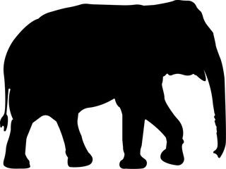 Majestic Elephant Silhouette in Walking Pose.