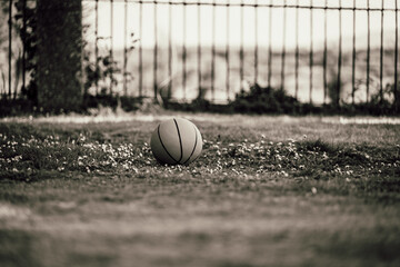 Basketball lying alone on a green lawn, evoking a calm and casual sporty mood. Ideal for visuals of...