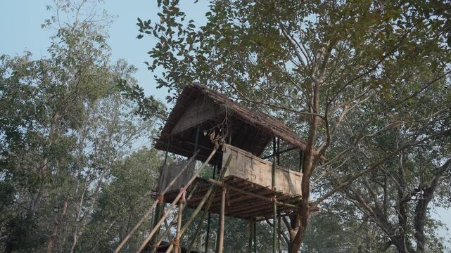 Awide shot of a bamboo tree house in Assam