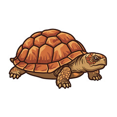 Fototapeta premium Tortoise Illustration: A detailed and captivating illustration of a tortoise, showcasing its distinctive features and textured shell, representing wildlife and nature.