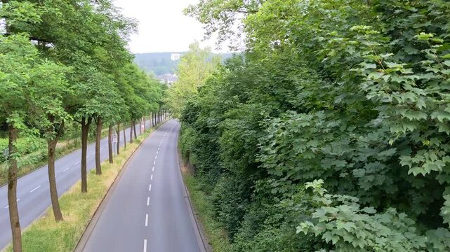 The road in the park
