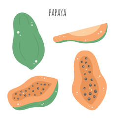 Papaya, ripe papaya, vector, fruit