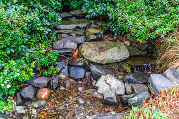 Rocky Garden Stream Seatac