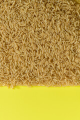 ARROZ INTEGRAL (Oryza Sativa)