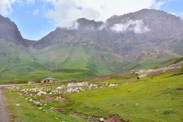 Beautiful view of the foothill valley of Ingushetia and majestic mountains in the background.