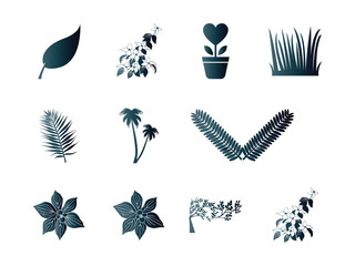 Collection of Silhouetted Botanical Elements