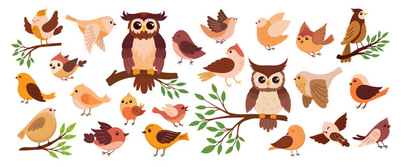 Set of cute birds of different colors