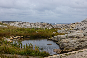 Fototapeta premium In land pool of water surrounded by large stone granite surface and mossy grassy vegetation in Peggys Cove Nova Scotia