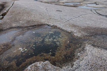 Photo of large water puddles on the surface of granite rock bath location Peggy's Cove Nova Scotia...