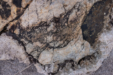 Gruesome dark and light rough textured granite surface with cracks and dark slime. Grungy textured background