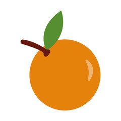 Fruits Vector Illustration