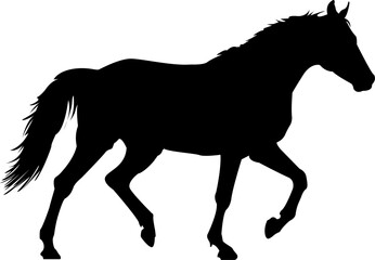 Dynamic Strong Horse Silhouette in Detailed Black Vector Motion.