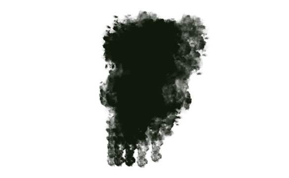 Brush stock isolated on transparent background, PNG file