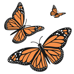 monarch butterflies set vector