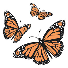 monarch butterflies set vector