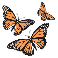 monarch butterflies set vector