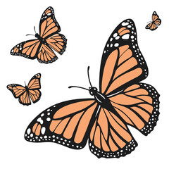 monarch butterflies set vector