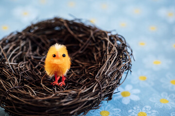 Décoration pour les fêtes de Pâques avec un mini poussin adorable © PicsArt