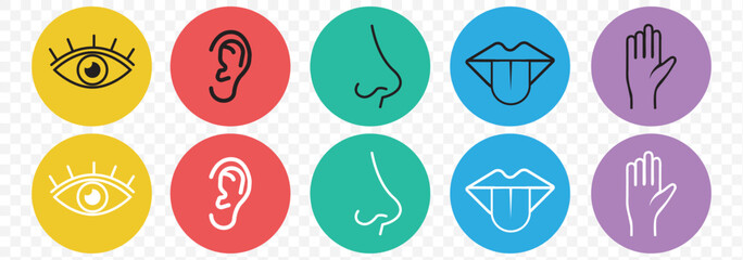 Human senses 5 five types. Vision through eye, smell with nose, taste with tongue line icon set. ENT Otolaryngologist ophthalmologist. Vector illustration on Transparent background