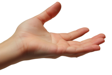 Open palm hand reaching out, fingers slightly curled upward, skin tones visible, isolated on transparent background
