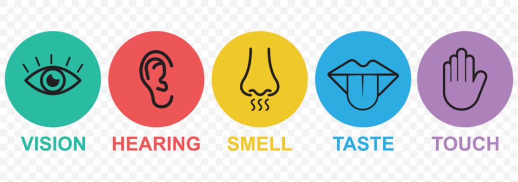 Human senses icon set. Vision eye, smell nose, hearing ear, touch hand, taste mouth with tongue. Simple line icons and black circle. Five senses of human nervous system. Vector illustration. 