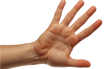 Open human hand on transparent background. Skin tones are visible and the fingers are slightly curved, creating a sense of welcoming or giving