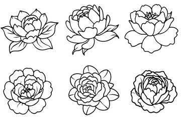 Blooming Peony Line Art Whispering Spring Bloom