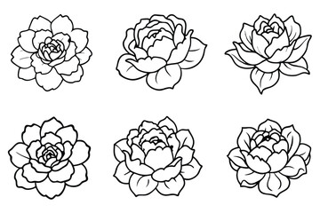 Blooming Peony Line Art Timeless Garden Design