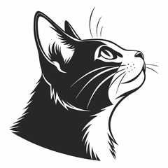 Obraz premium black and white cat