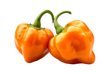 Isolated Photo of Two Ripe Orange Habanero Peppers Against Black Background
