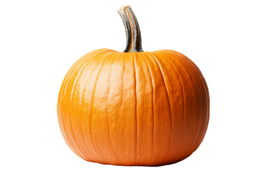 An orange pumpkin with a curved stem, isolated on transparent background, showcasing its smooth skin and subtle ridges