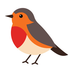American Robin Vector Art Illustration | Colorful Robin Bird Design