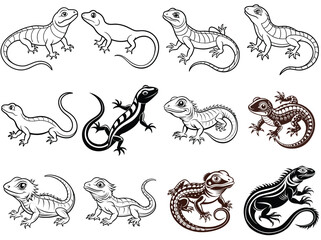 Lizard silhouette vector illustration isolated on white background.