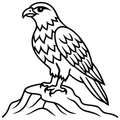 Vector art illustration of a hawk