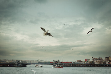 City landscape. Turkey. Bay view.