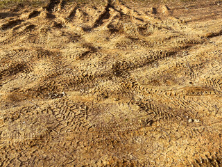 Tire tracks and ruts in the sand