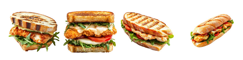 Set of Crispy Chicken Sandwich Collection isolated on transparent background