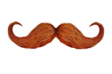 Ginger mustache, curled ends, fills a transparent background.  Hair is textured and appears realistic in its vibrant reddish-brown color