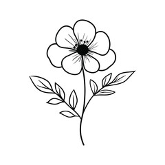 Obraz premium Elegant Floral Line Art with Leaves on Transparent Background