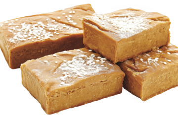 Isolated Squares of Delicious Brown Baked Dessert with Sesame Seeds Photo