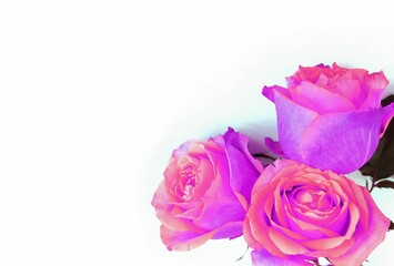 Spring pink bouquet with pink roses. Light floral arrangement.