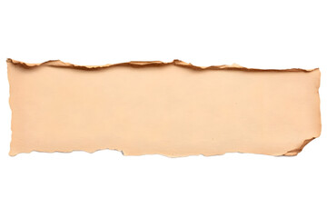 Isolated Torn Paper Fragment with Beige Brown Texture on Black Background Photo
