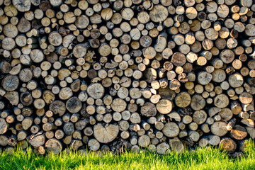 Brennholz Lager am Waldrand