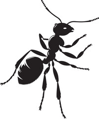 black ant vector illustration